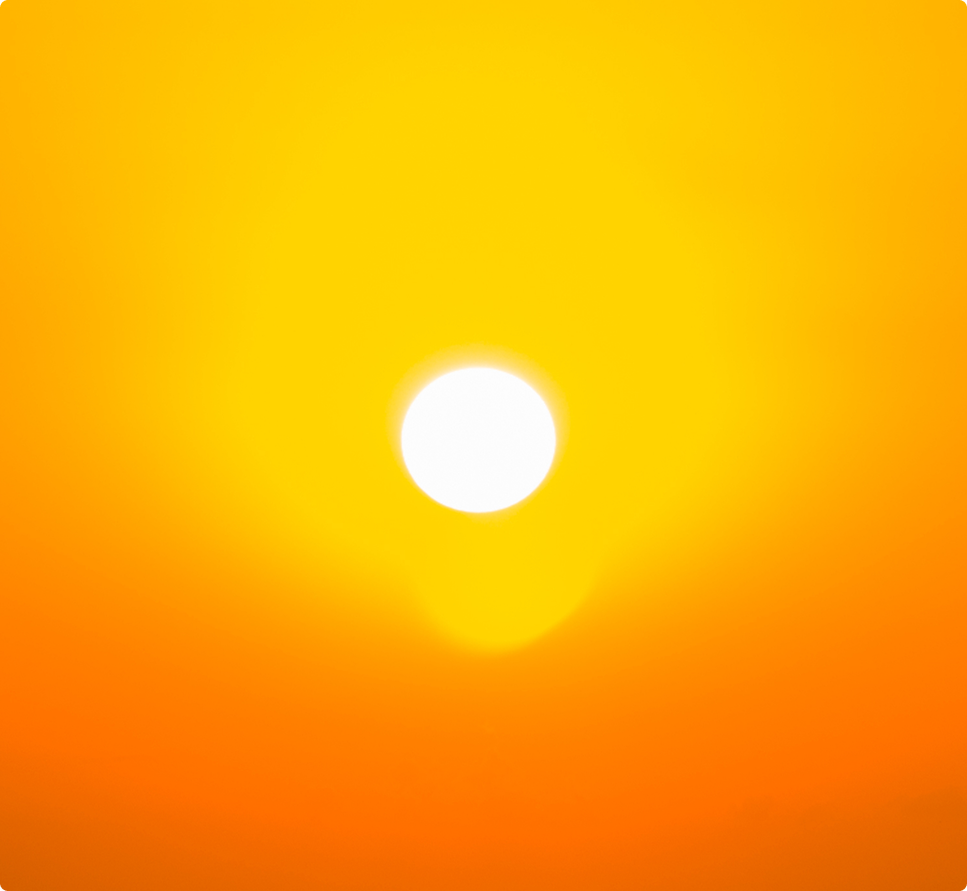 captura de pantalla 2026 07 20 a les 14.38.22 183