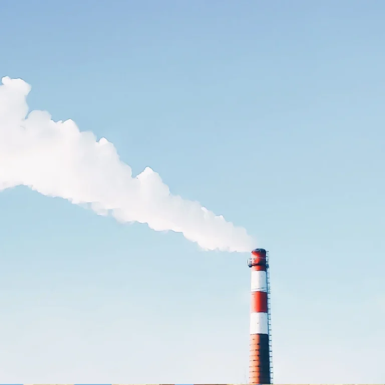 Cálculo de la huella de carbono: ¿cómo mitigar el cambio climático?